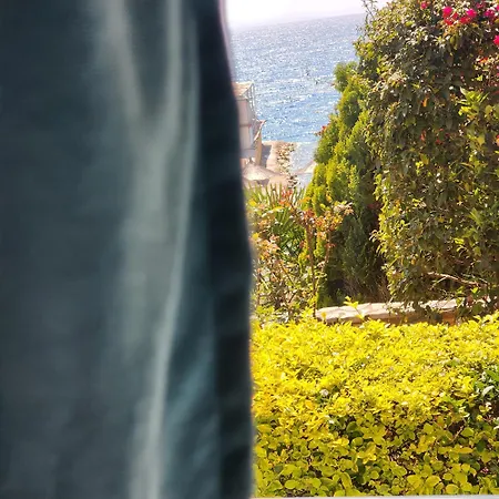 Otel Amelie's & Saranda